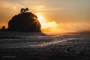 Sunset, La Push-2230